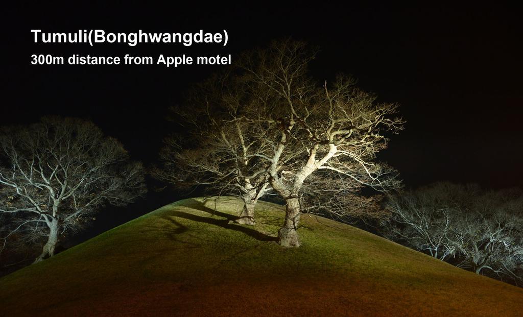 במוטל גייאונגג'ו Apple House מראה חיצוני תמונה